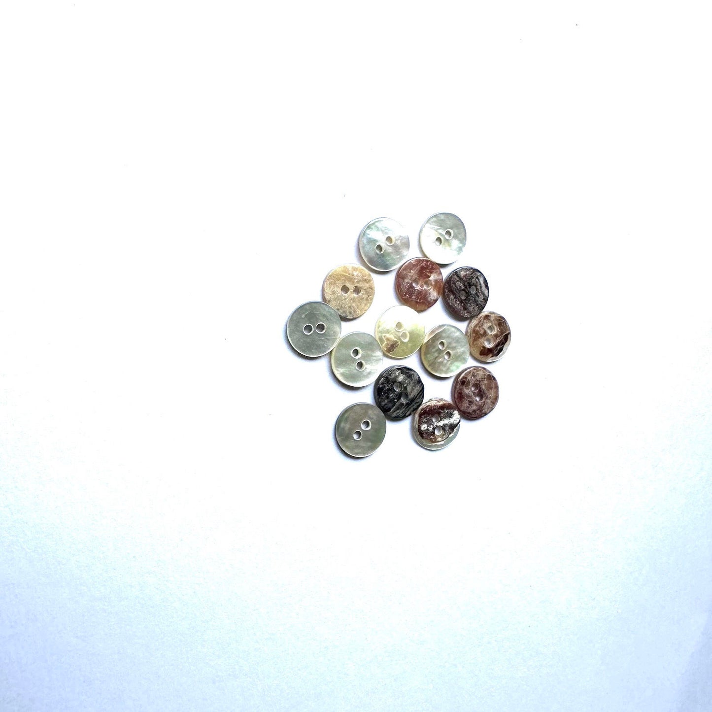 3006  Natural Shell Shirt Buckle