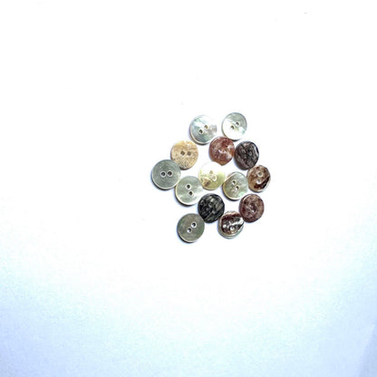 3006  Natural Shell Shirt Buckle