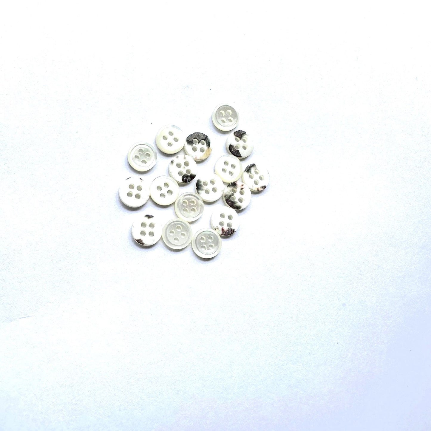 3006  Natural Shell Shirt Buckle