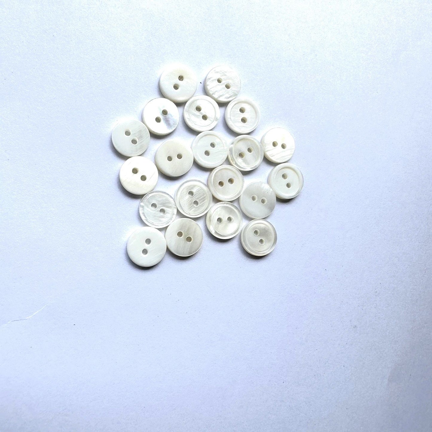 3006  Natural Shell Shirt Buckle