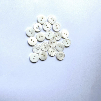 3006  Natural Shell Shirt Buckle