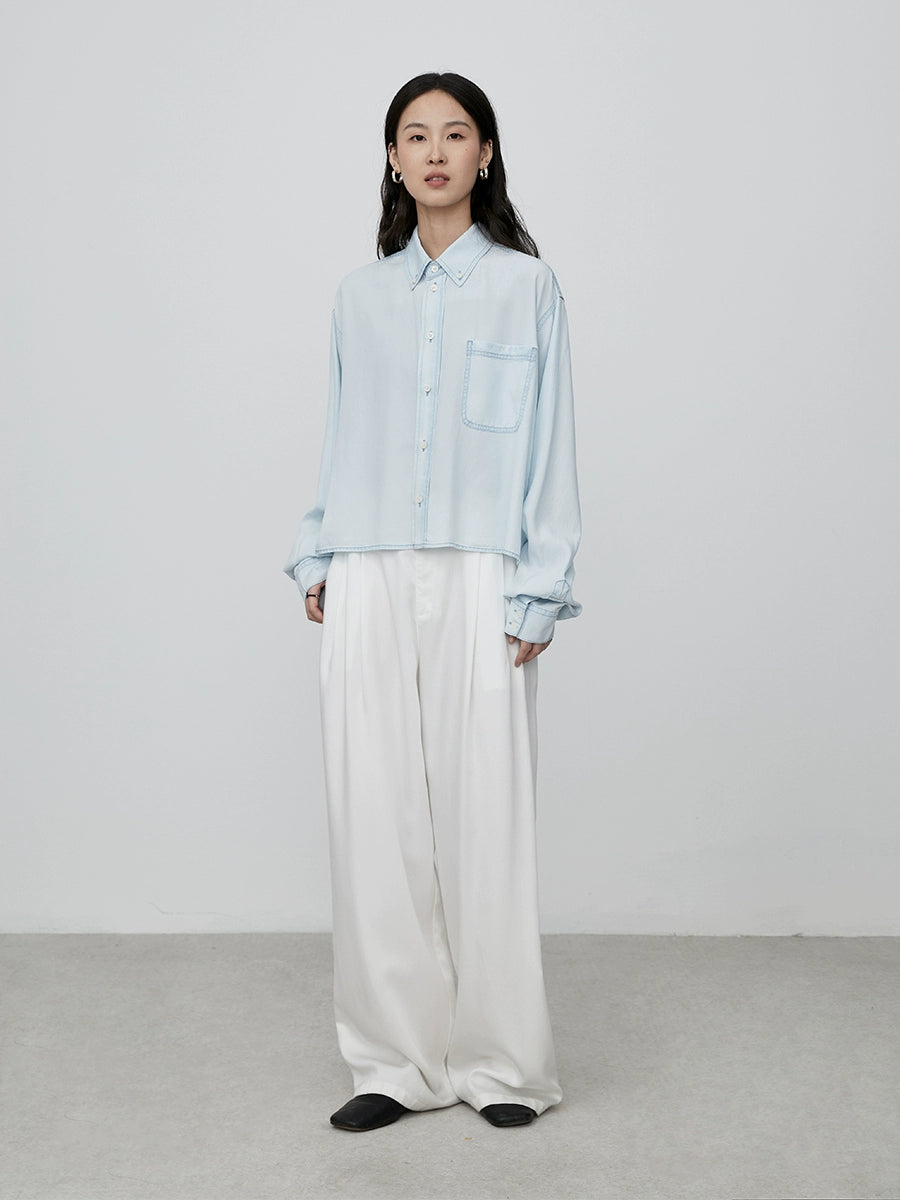 Camisa tipo polo de tencel azul claro CAREMIND, corta, informal, estilo extranjero, fina, manga larga, tipo cárdigan 